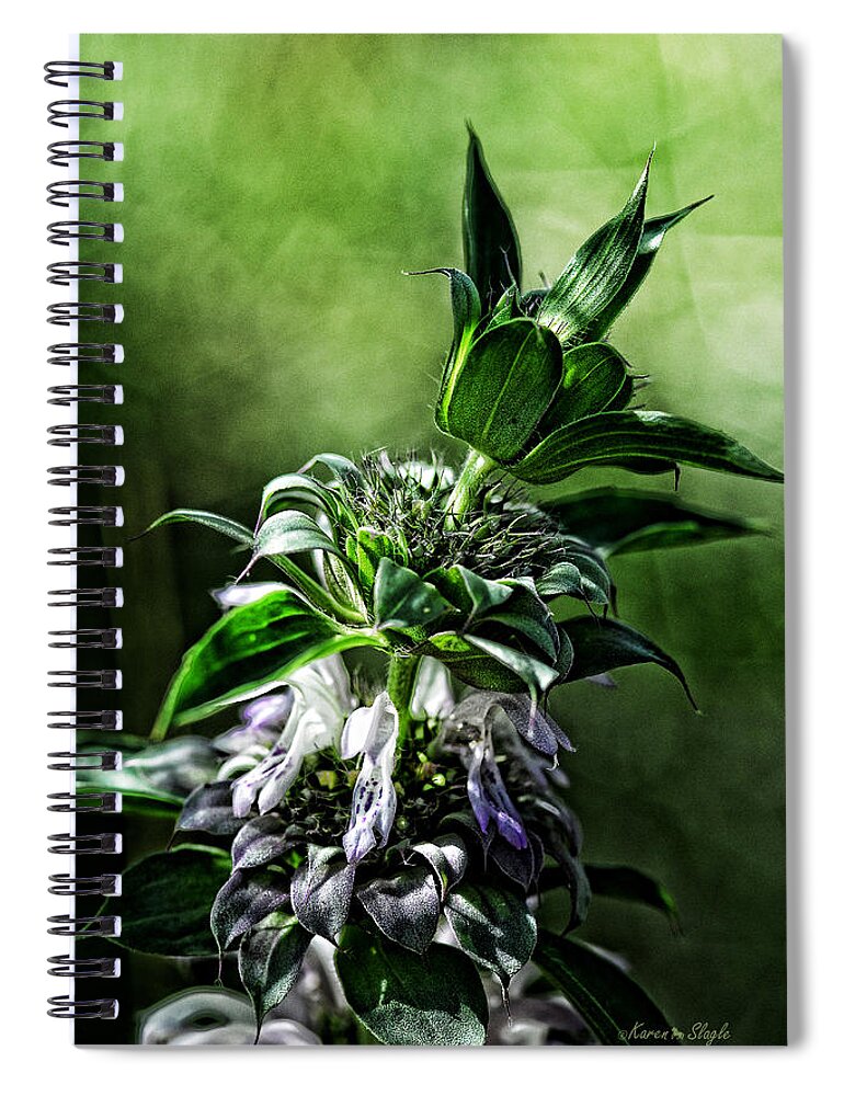 Native Spiral Notebook featuring the photograph Horsemint by Karen Slagle