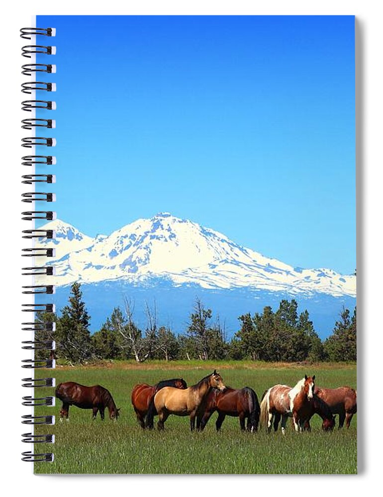 Sisters Mountain Spiral Notebook featuring the photograph Horses at Sisters Mountain by Lynn Hopwood
