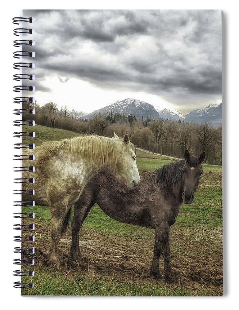 Working Animal Spiral Notebook featuring the photograph Horses by Foto Polimanti Fabio