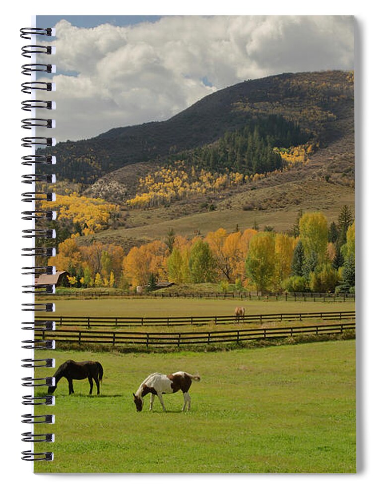 Horse Spiral Notebook featuring the photograph Horses Grazing In Autumn Pasture by Chapin31