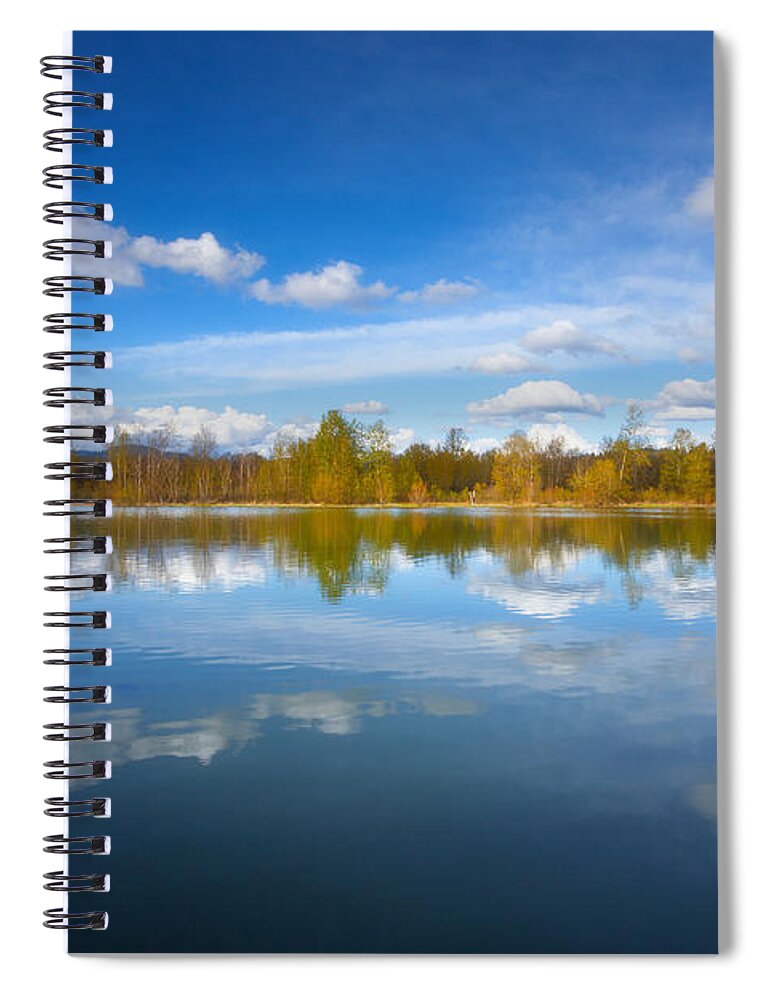 Lake Reflection Spiral Notebook featuring the photograph Horseshoe Lake Reflections by Darren White