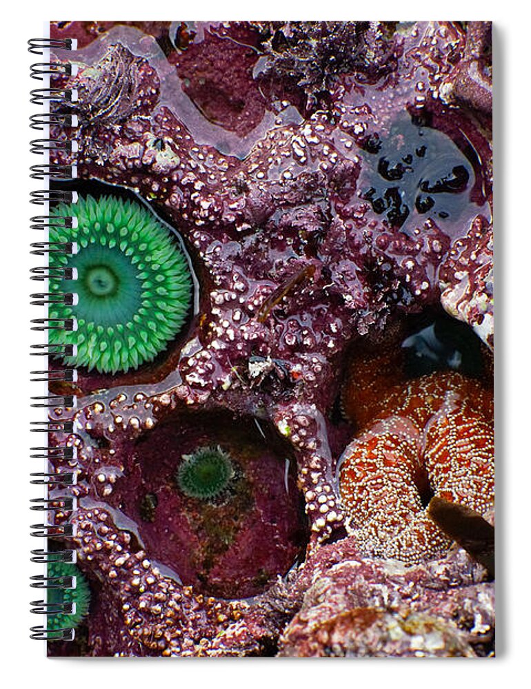 Adria Trail Spiral Notebook featuring the photograph Housing Division by Adria Trail