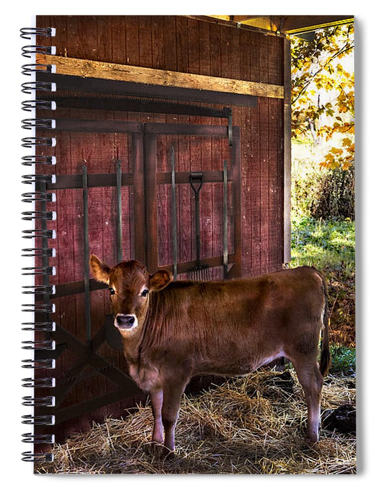 Appalachia Spiral Notebook featuring the photograph How Now Brown Cow? by Debra and Dave Vanderlaan