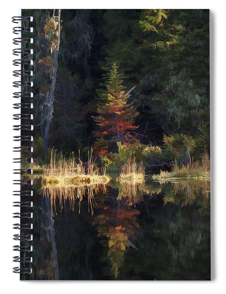 Reflection Spiral Notebook featuring the photograph Huff Lake Reflection by Paul DeRocker