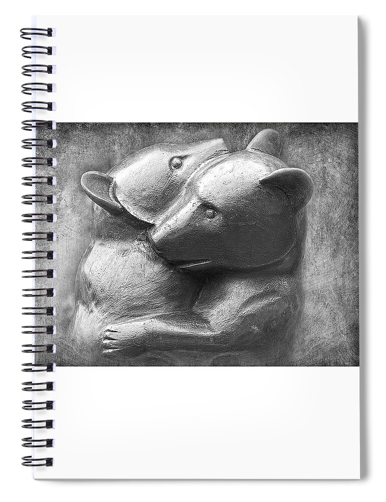 Baby Bear Photographs Spiral Notebook featuring the photograph Huggy Bears by David Davies