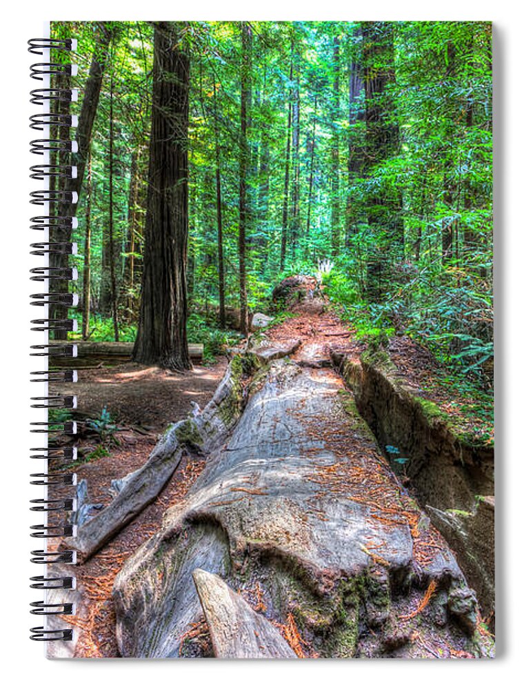 California Spiral Notebook featuring the photograph Humboldt Redwoods by Heidi Smith