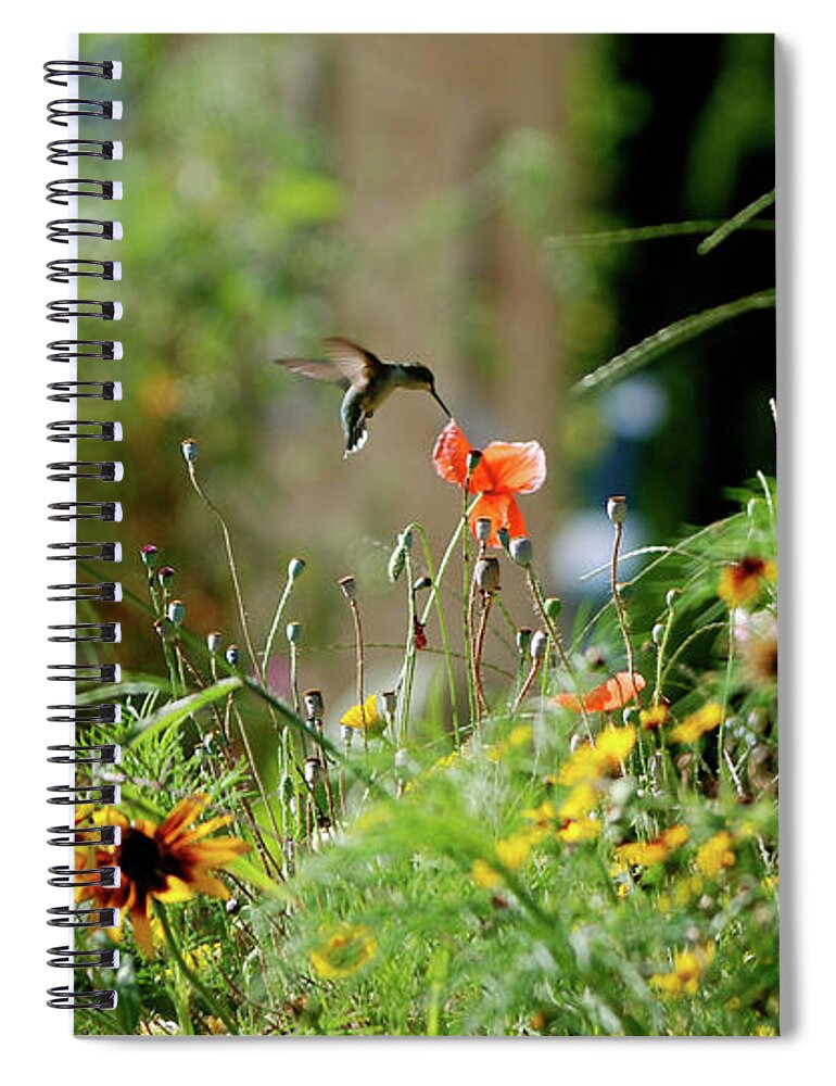 Hummer Spiral Notebook featuring the photograph Humming Bird by Thomas Woolworth