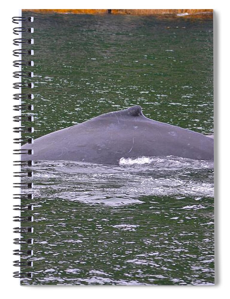 Whale Spiral Notebook featuring the photograph Humpback Spew by Deanna Cagle