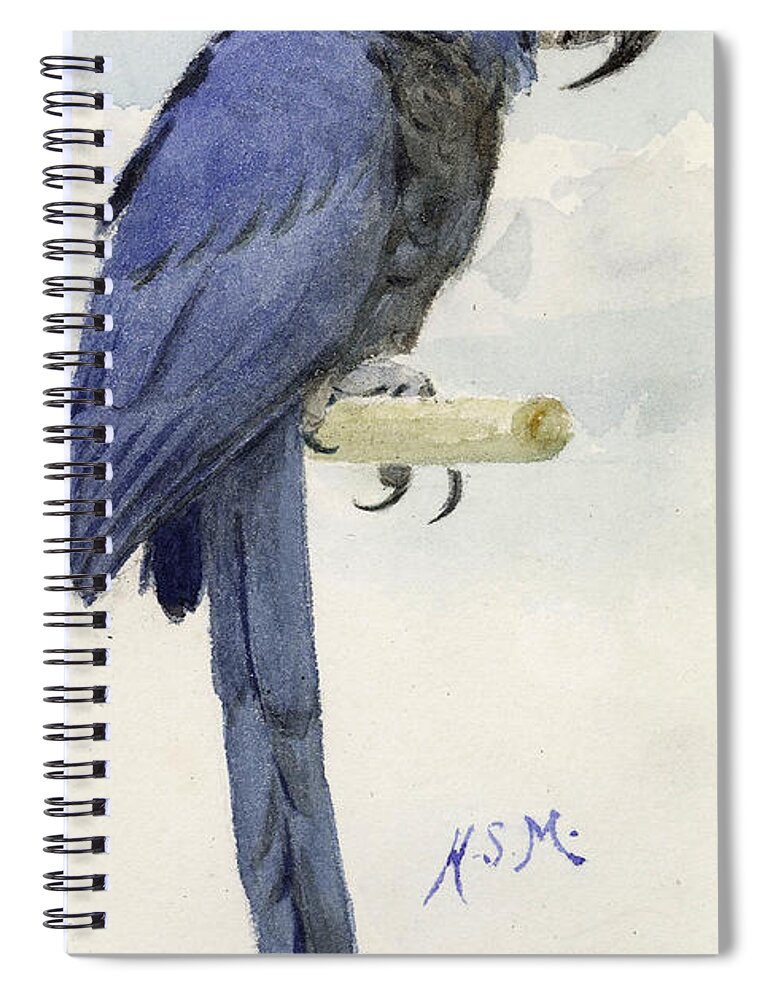 Hyacinth Macaw Spiral Notebook featuring the painting Hyacinth Macaw by Henry Stacey Marks