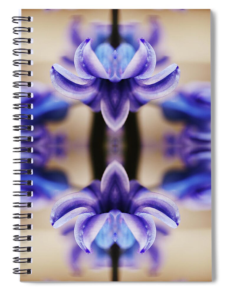 Purple Spiral Notebook featuring the photograph Hyazinth by Silvia Otte