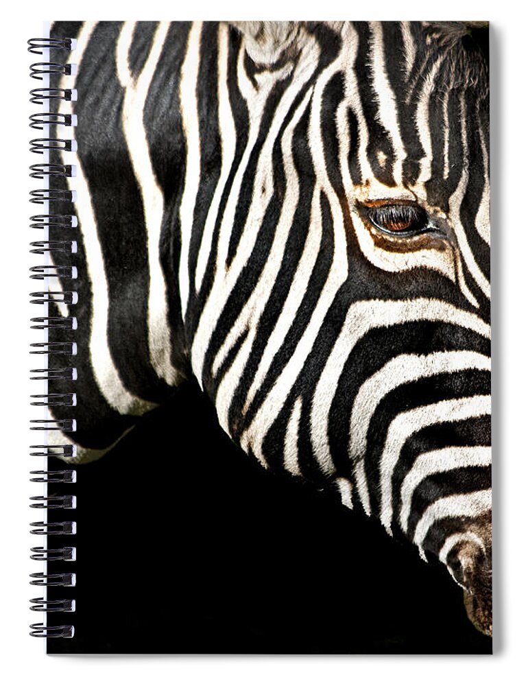 Zebra Spiral Notebook featuring the photograph I Am A Zebra by Miroslava Jurcik