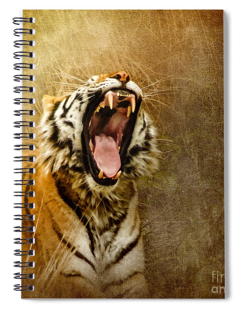 Bengal Tiger Spiral Notebook featuring the photograph I Am Woman Hear Me Roar by Betty LaRue