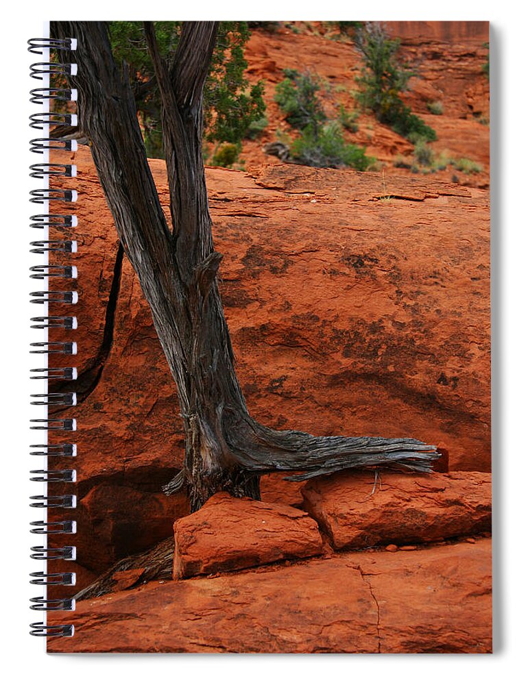 Giorgio Spiral Notebook featuring the photograph I can and I will by Giorgio Tuscani