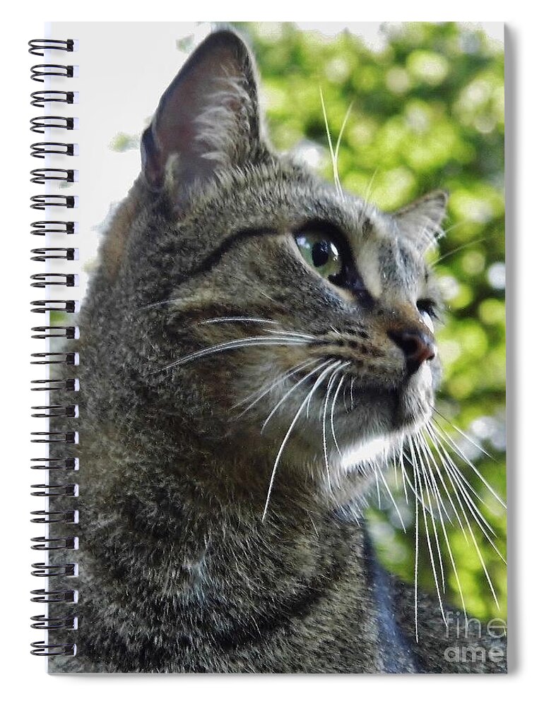 Cat Spiral Notebook featuring the photograph I Know I'm Handsome by D Hackett