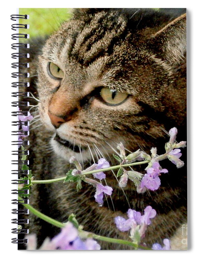 Herbs Spiral Notebook featuring the photograph I Love Catnip My Mommy Grows For Me by Eunice Miller