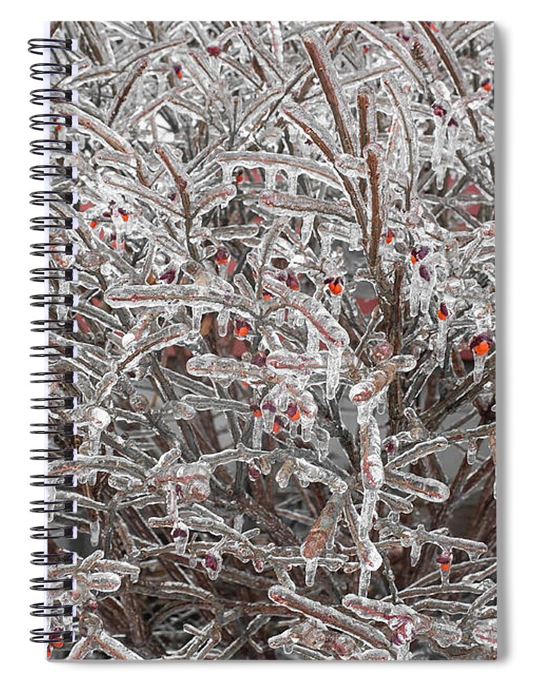Ice Spiral Notebook featuring the photograph Ice Abstract 1 by Barbara McMahon