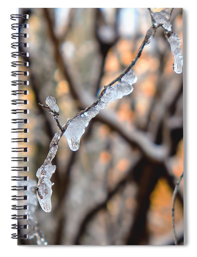 Ice Spiral Notebook featuring the photograph Ice Necklace by Frank Winters