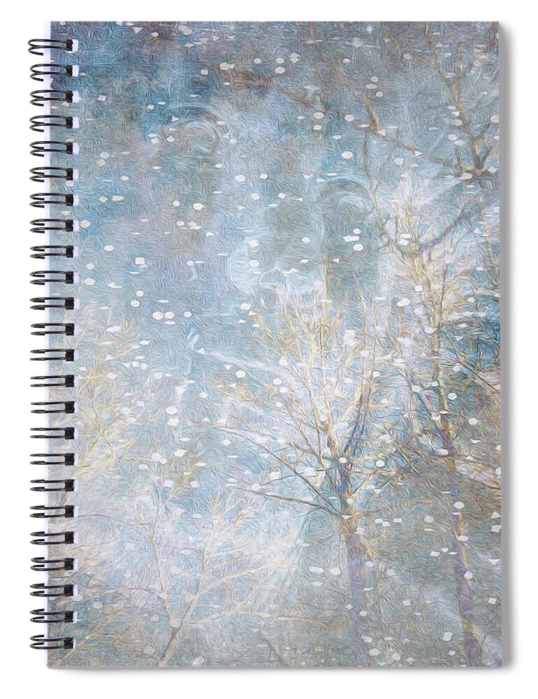 Winter Spiral Notebook featuring the photograph Ice Queen by Kathy Bassett