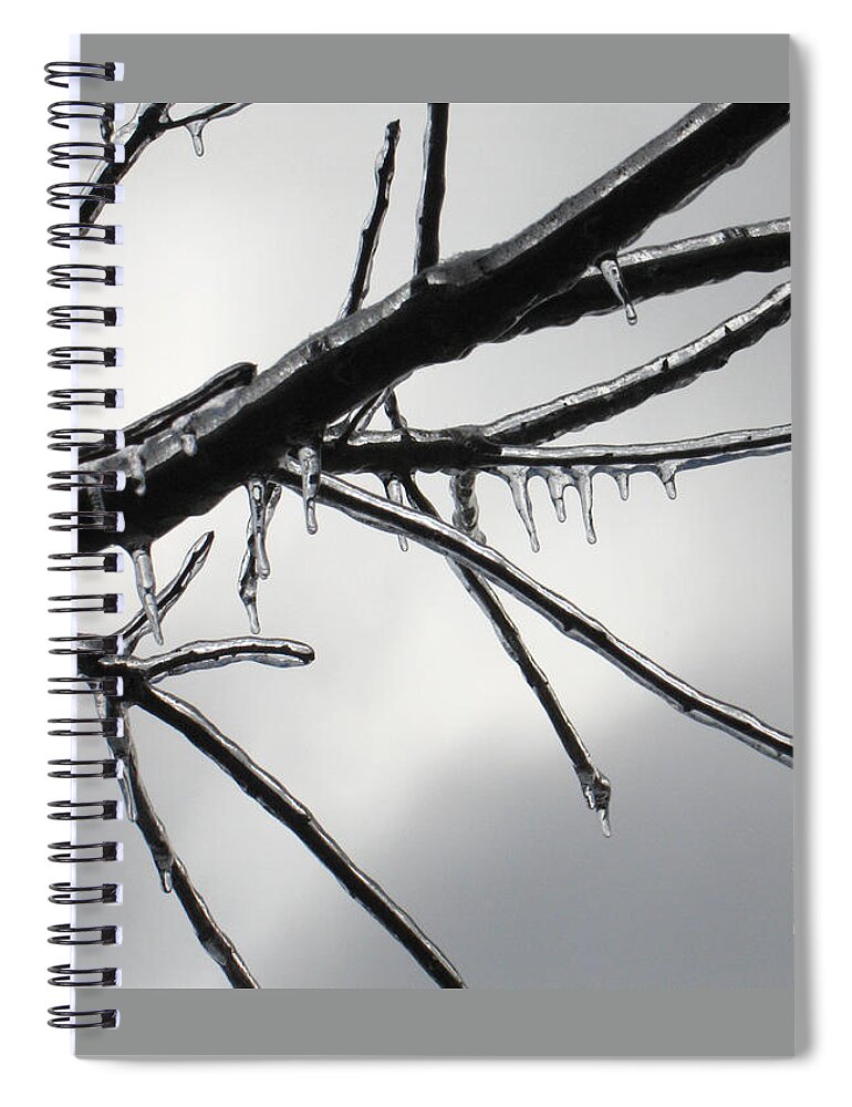 Winter Spiral Notebook featuring the photograph Iced Tree by Ann Horn