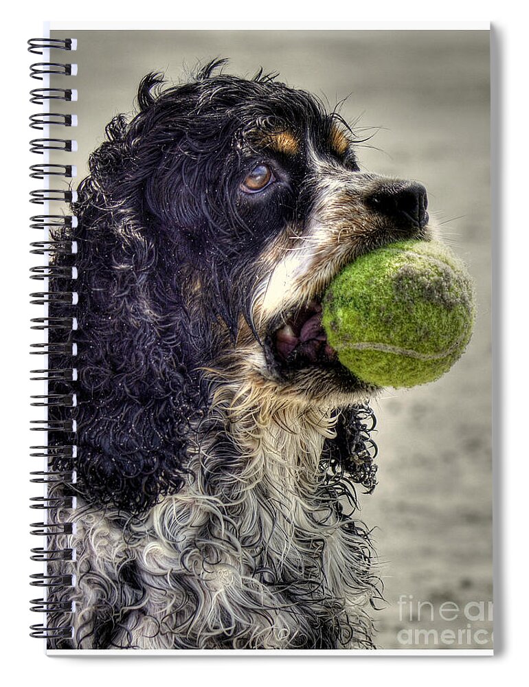 Cocker Spaniel Spiral Notebook featuring the photograph I'm Ready to Play by Benanne Stiens
