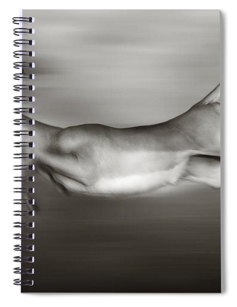 Outdoor Spiral Notebook featuring the photograph Impala running by Johan Swanepoel