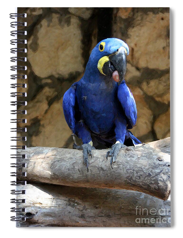 Birds Spiral Notebook featuring the photograph Blue Macaw by Doc Braham