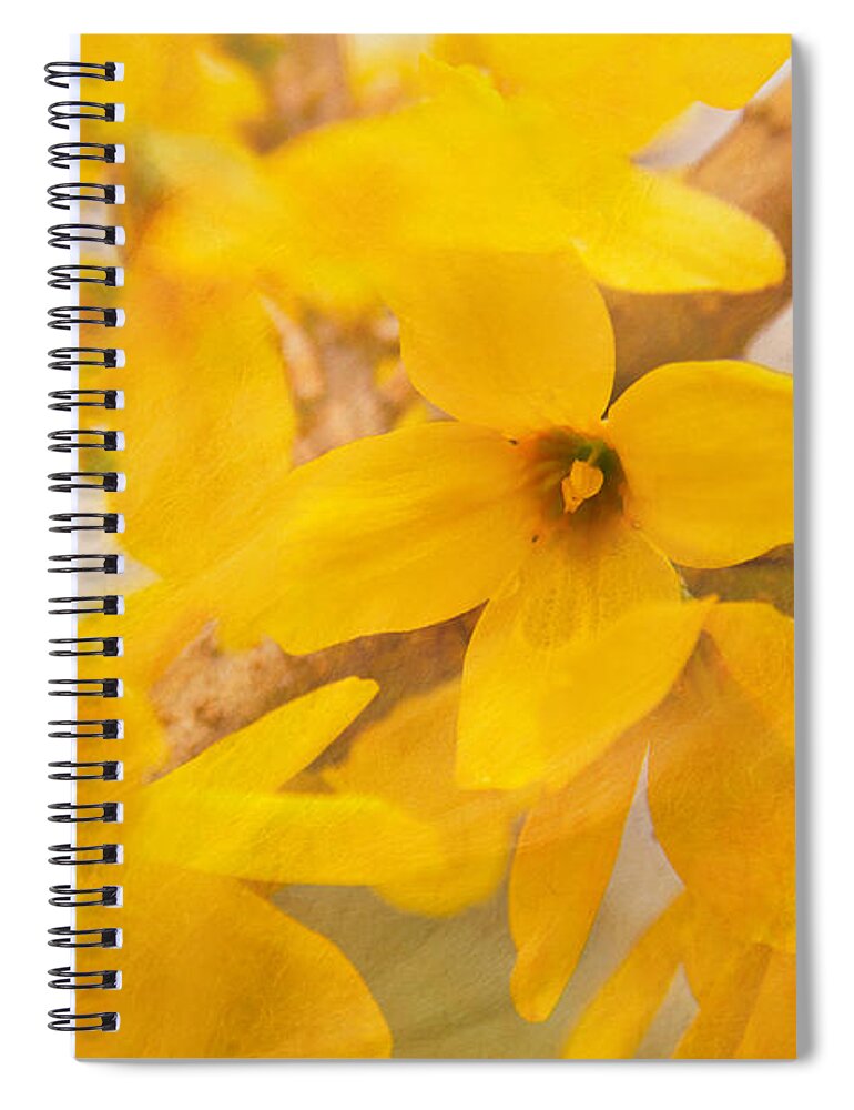 Blooming Spiral Notebook featuring the photograph Impressionist Forsythia by Jemmy Archer