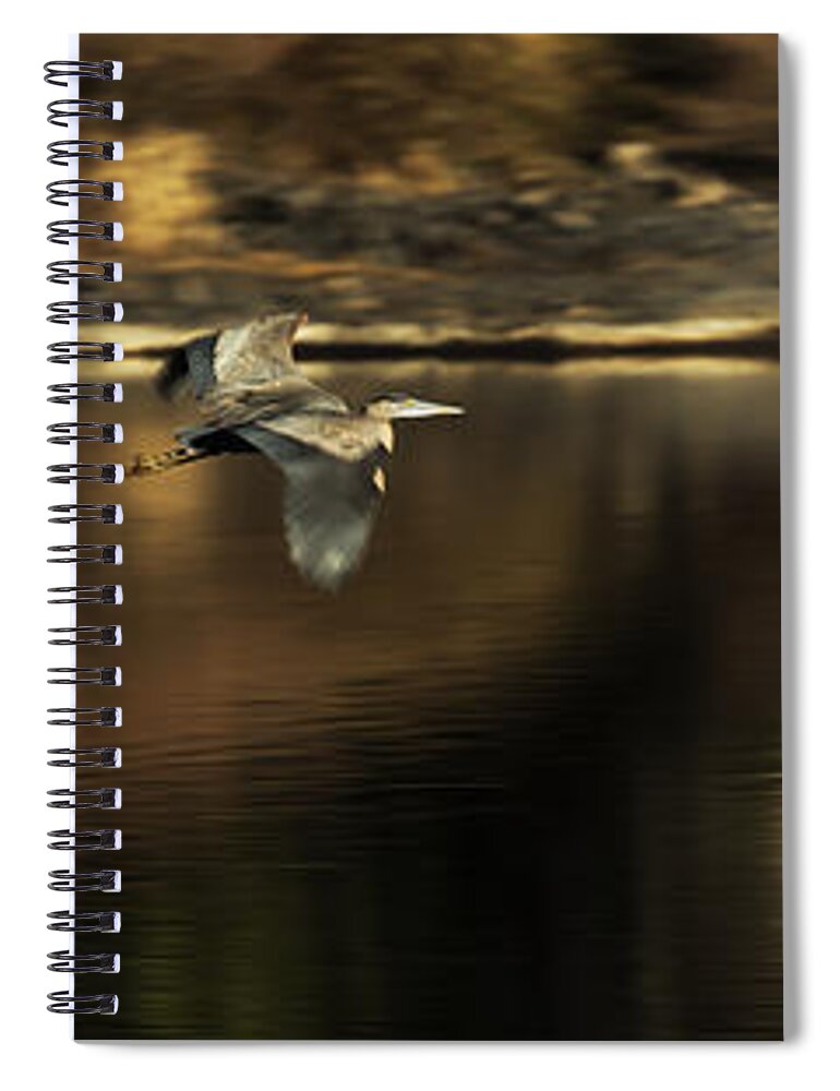 Heron Spiral Notebook featuring the photograph Impressions of a Heron's Flight by Belinda Greb