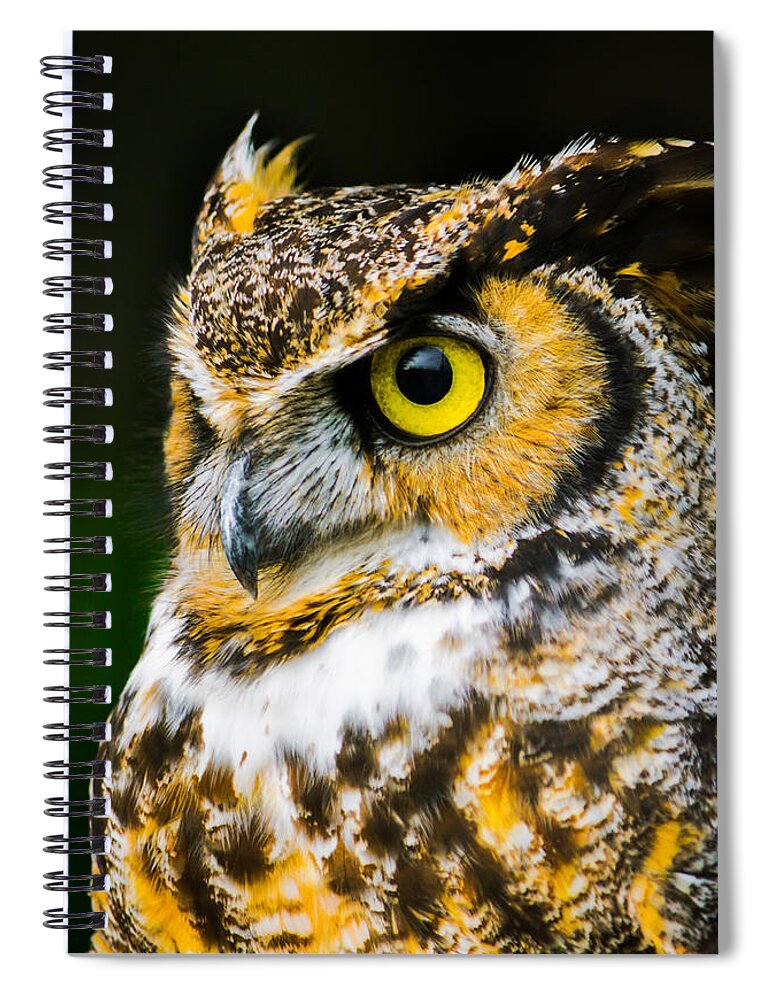 Owl Spiral Notebook featuring the photograph In The Eyes by Parker Cunningham