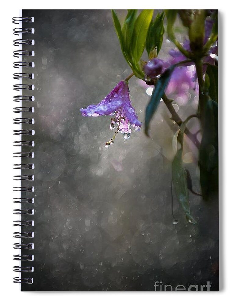 Blaminsky Spiral Notebook featuring the photograph In the morning rain by Jaroslaw Blaminsky