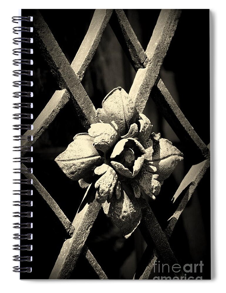 In The Name Of The Rose Spiral Notebook featuring the photograph In the name of the Rose by Susanne Van Hulst