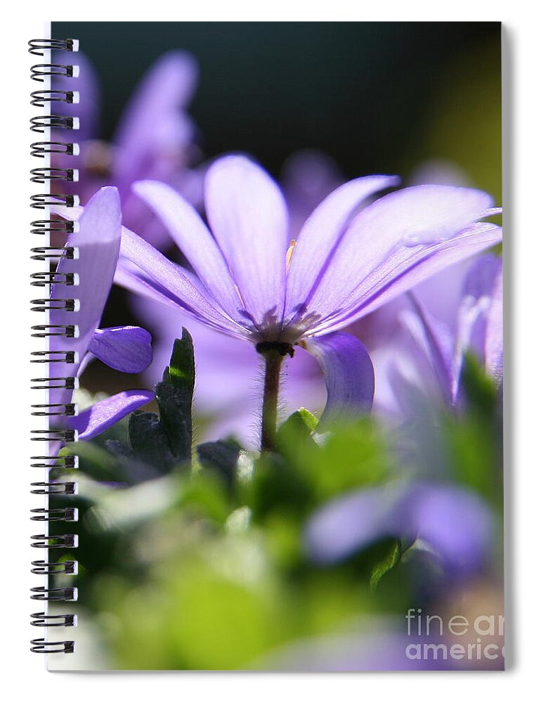 Purple Spiral Notebook featuring the photograph Floral Purple Light by Neal Eslinger