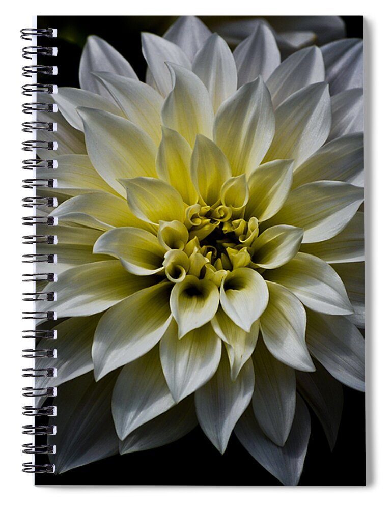 Botanical Spiral Notebook featuring the photograph Inner Glow by Christi Kraft