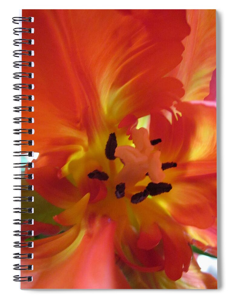 Tulip Spiral Notebook featuring the photograph Innermost by Rosita Larsson