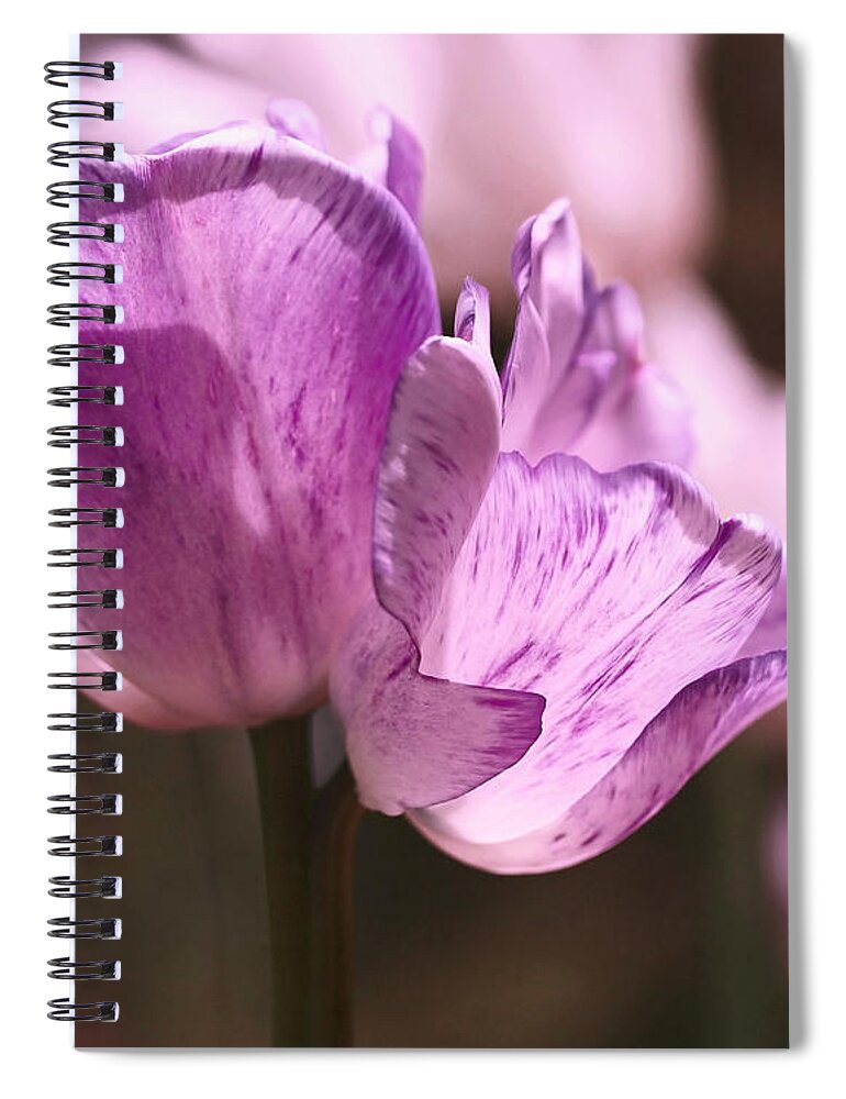 Tulips Spiral Notebook featuring the photograph Inseparable by Rona Black