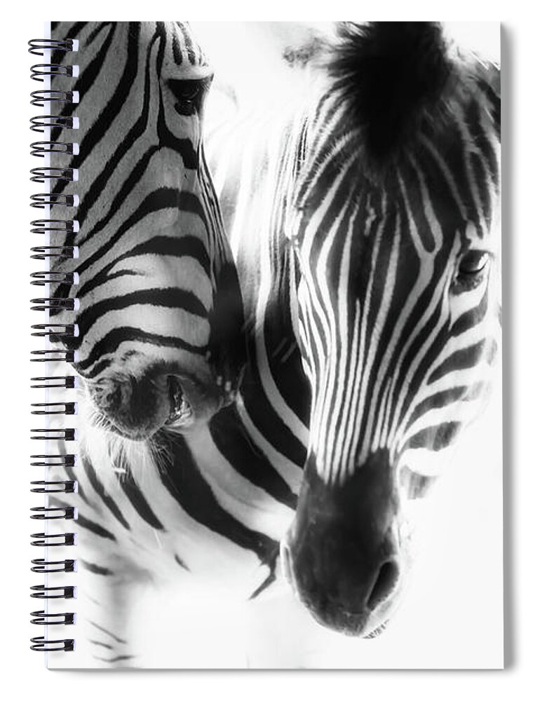 Animal Themes Spiral Notebook featuring the photograph Interaction by Moaan