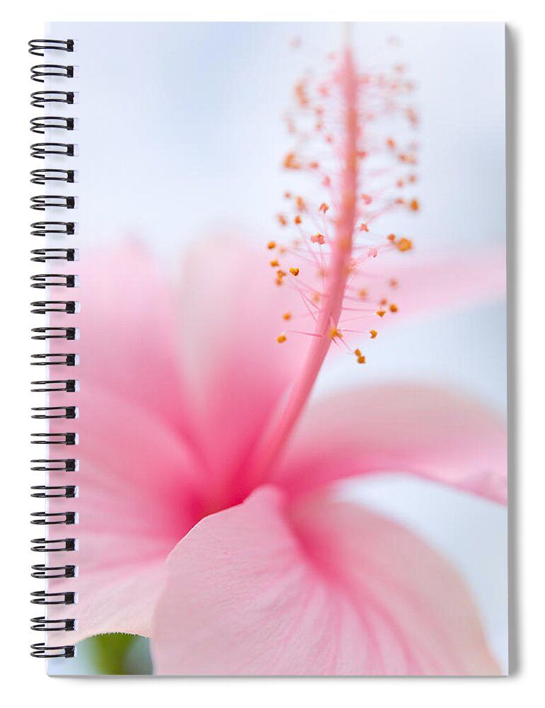 Jenny Rainbow Fine Art Photography Spiral Notebook featuring the photograph Invitation into the Light by Jenny Rainbow