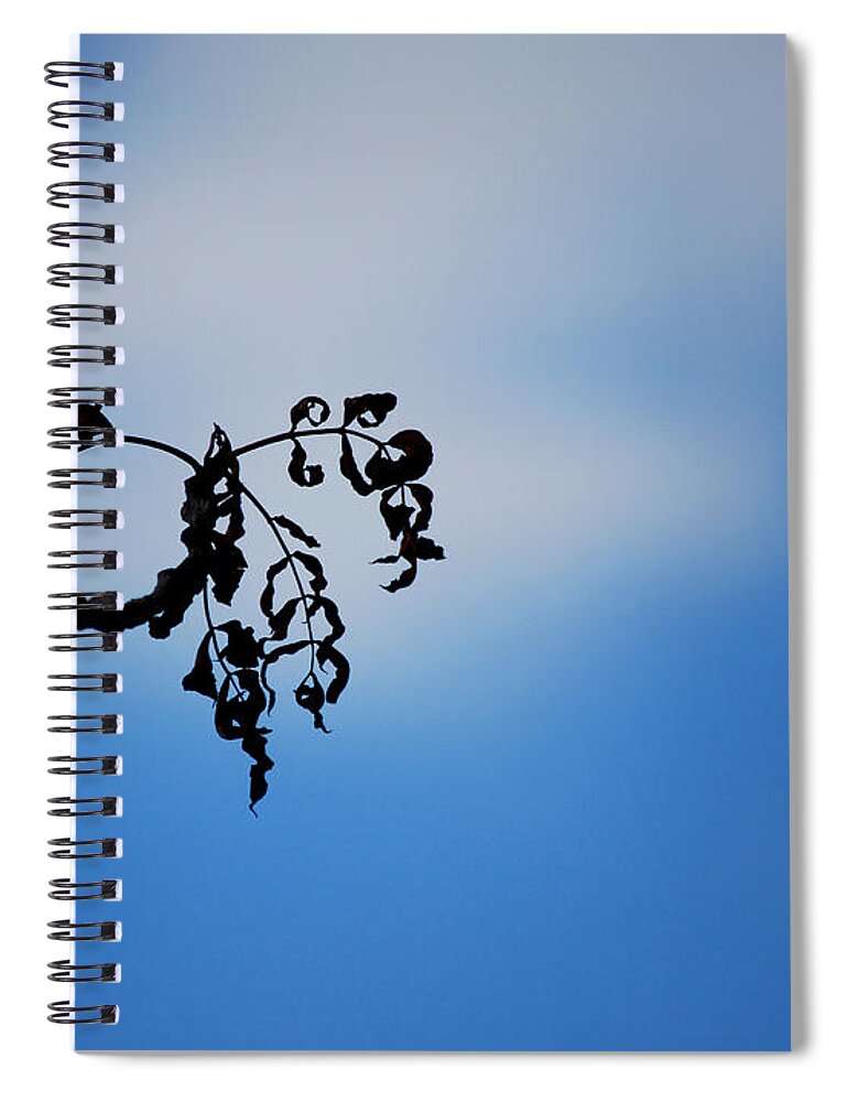 Becky Furgason Spiral Notebook featuring the photograph #iofferyoumylove by Becky Furgason