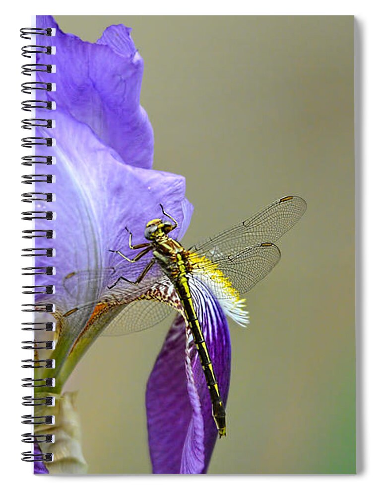 Iris Germanica Spiral Notebook featuring the photograph Iris and the Dragonfly 2 by Jai Johnson