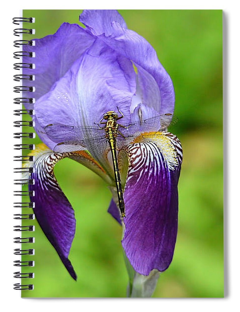 Iris Germanica Spiral Notebook featuring the photograph Iris and the Dragonfly 3 by Jai Johnson