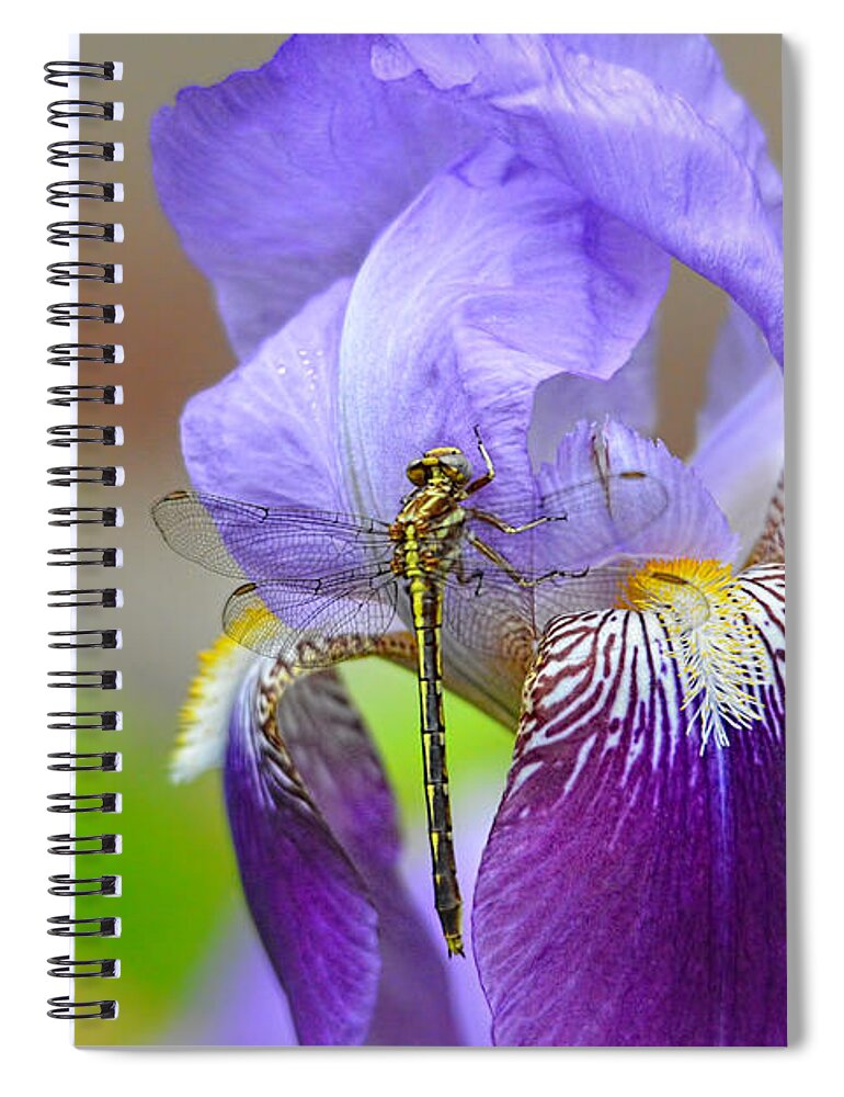 Iris Germanica Spiral Notebook featuring the photograph Iris and the Dragonfly 4 by Jai Johnson