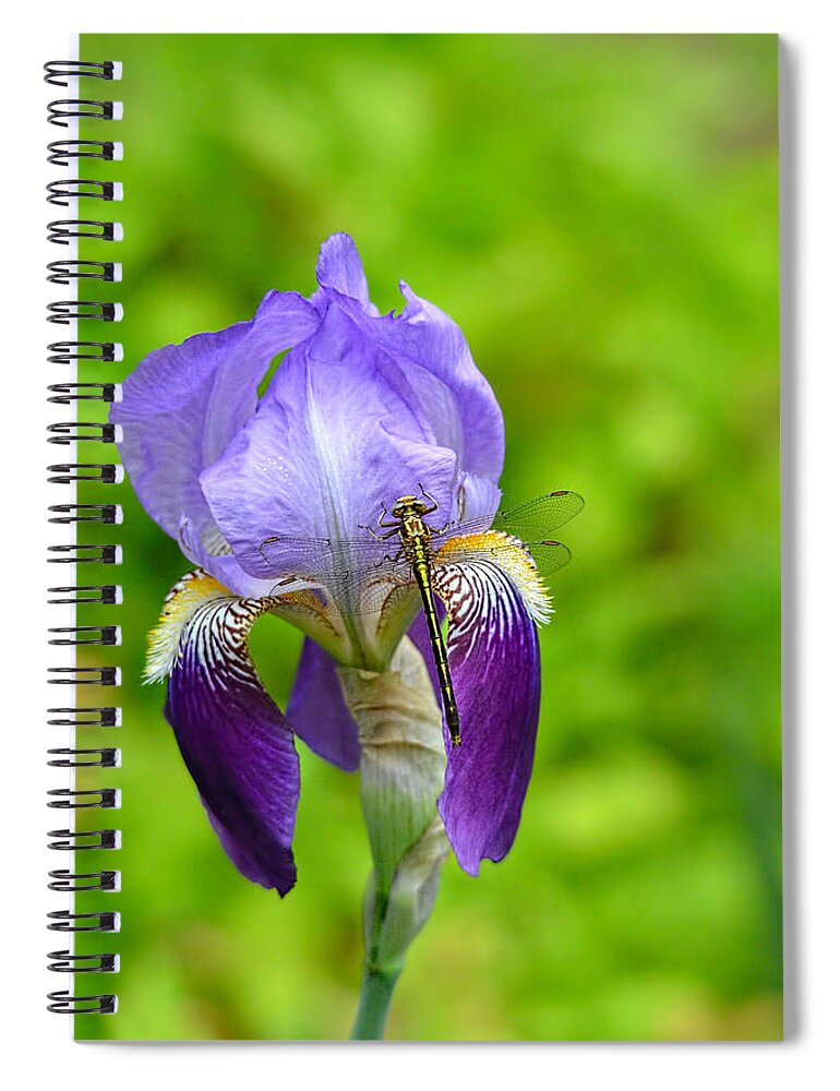 Iris Germanica Spiral Notebook featuring the photograph Iris and the Dragonfly 7 by Jai Johnson