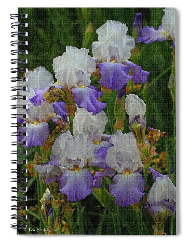 Iris Patch At The Arboretum Spiral Notebook featuring the photograph Iris Patch At The Arboretum by Tom Janca