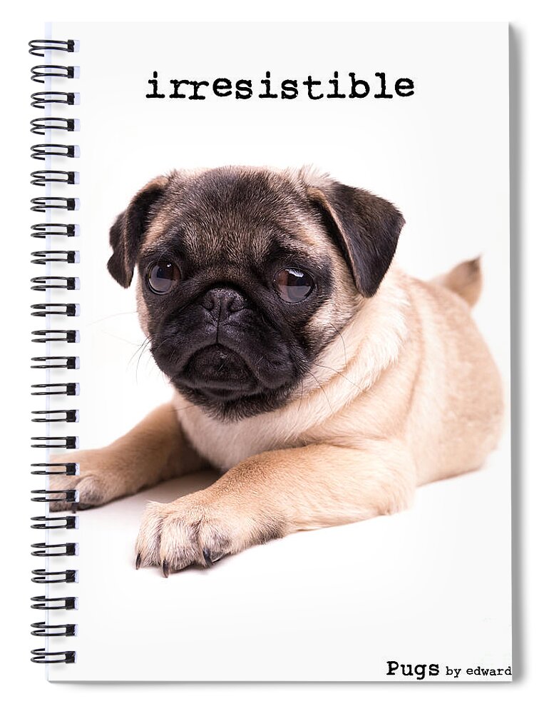 Animal Spiral Notebook featuring the photograph Irresistible Pug Puppy by Edward Fielding