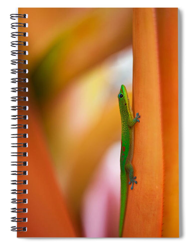 Gecko Spiral Notebook featuring the photograph Island Friend by Mike Reid