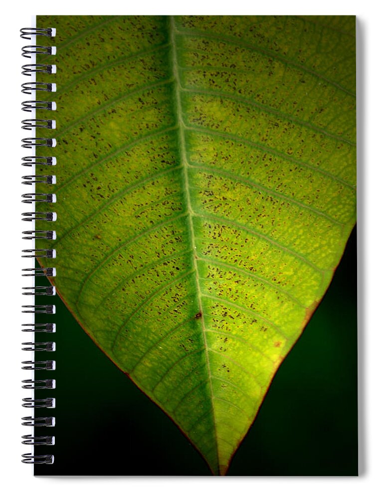Leaf Spiral Notebook featuring the photograph It's A Leaf 2 by David Weeks