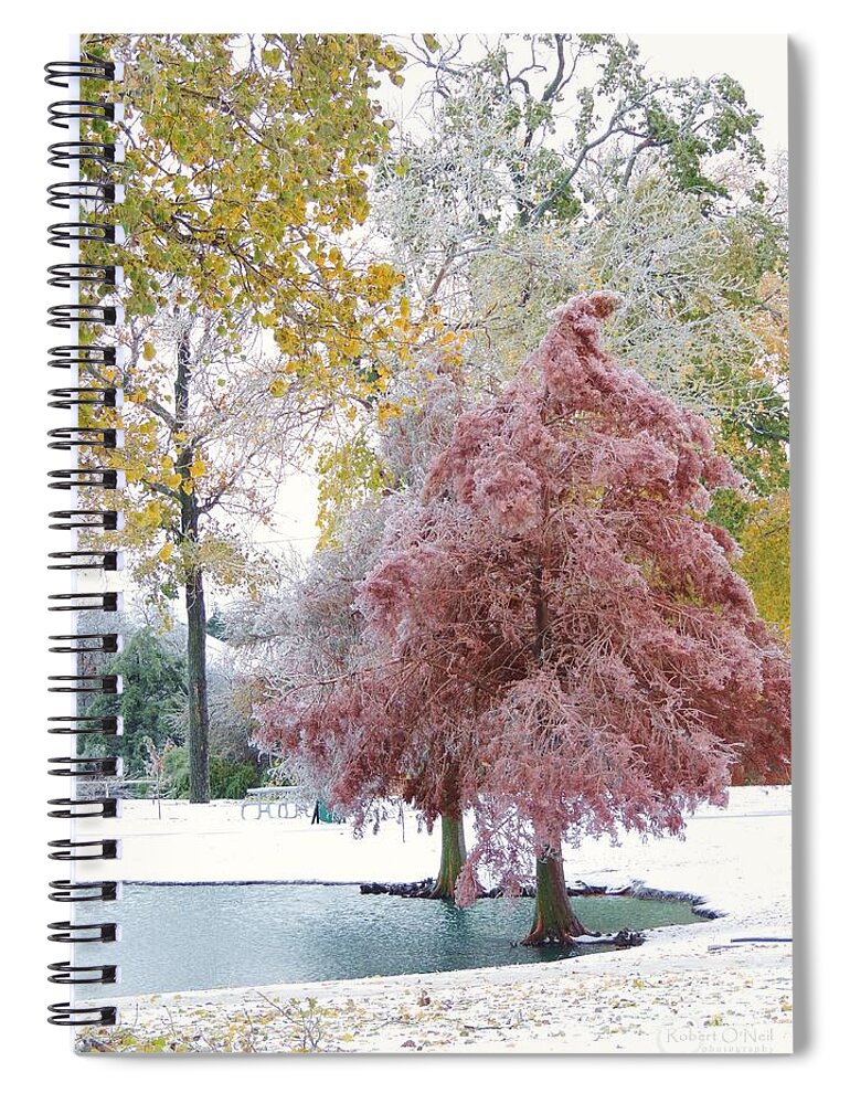 Winter Spiral Notebook featuring the photograph Its Beginning To Look A Lot Like Christmas by Robert ONeil