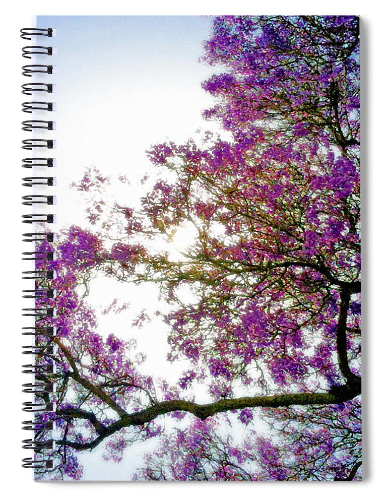 Jacaranda Spiral Notebook featuring the photograph Jacaranda Glory by Gwyn Newcombe
