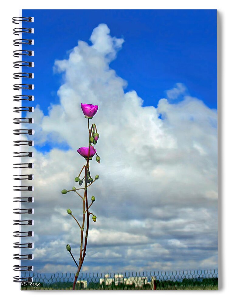 Sky Spiral Notebook featuring the photograph Jack and the Rose Stock by Jennie Breeze