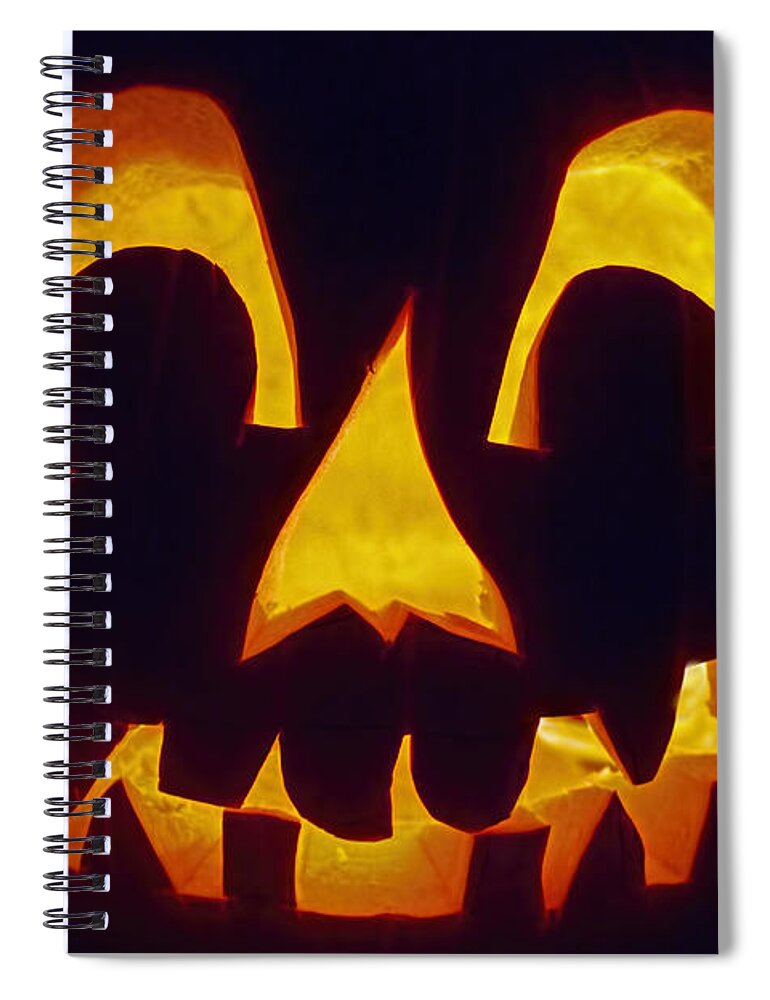 Jack Spiral Notebook featuring the photograph Jack by Gary Holmes